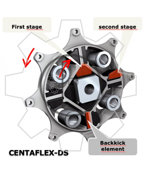 Centaflex DS complete coupling Centa