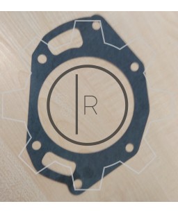 246511 GASKET