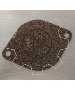 4205272 GASKET
