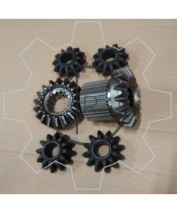 970.04.701.05 DIFFERENTIAL GEAR ASSY