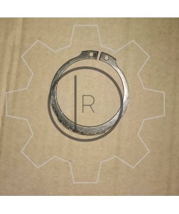 970.06.020.01 SNAP RING